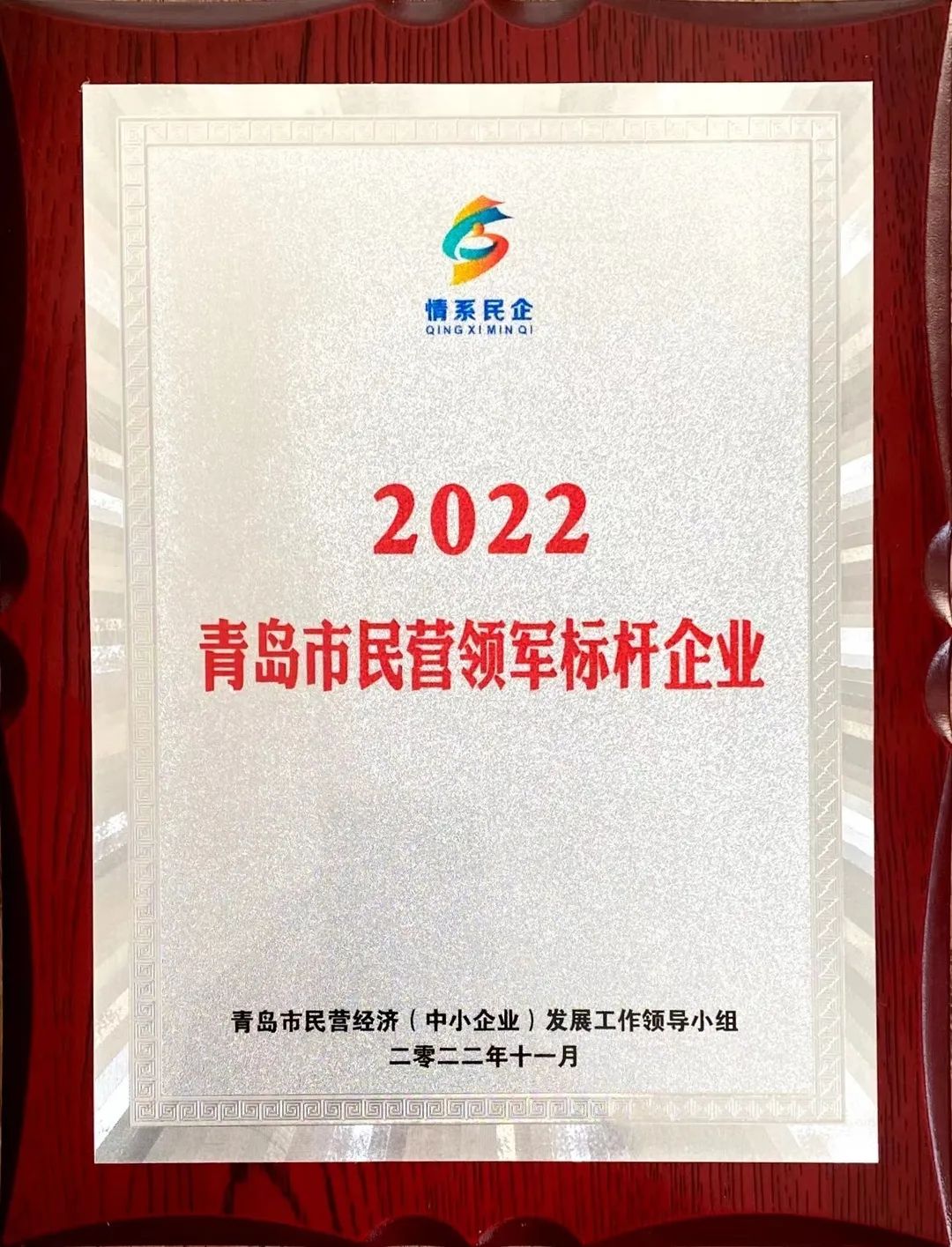 2022年度青岛市民营领军标杆企业