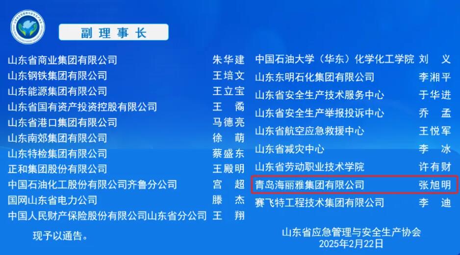 青岛海丽雅集团